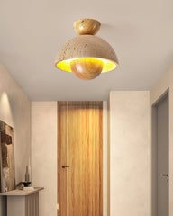 Inverted Ceiling Lamp