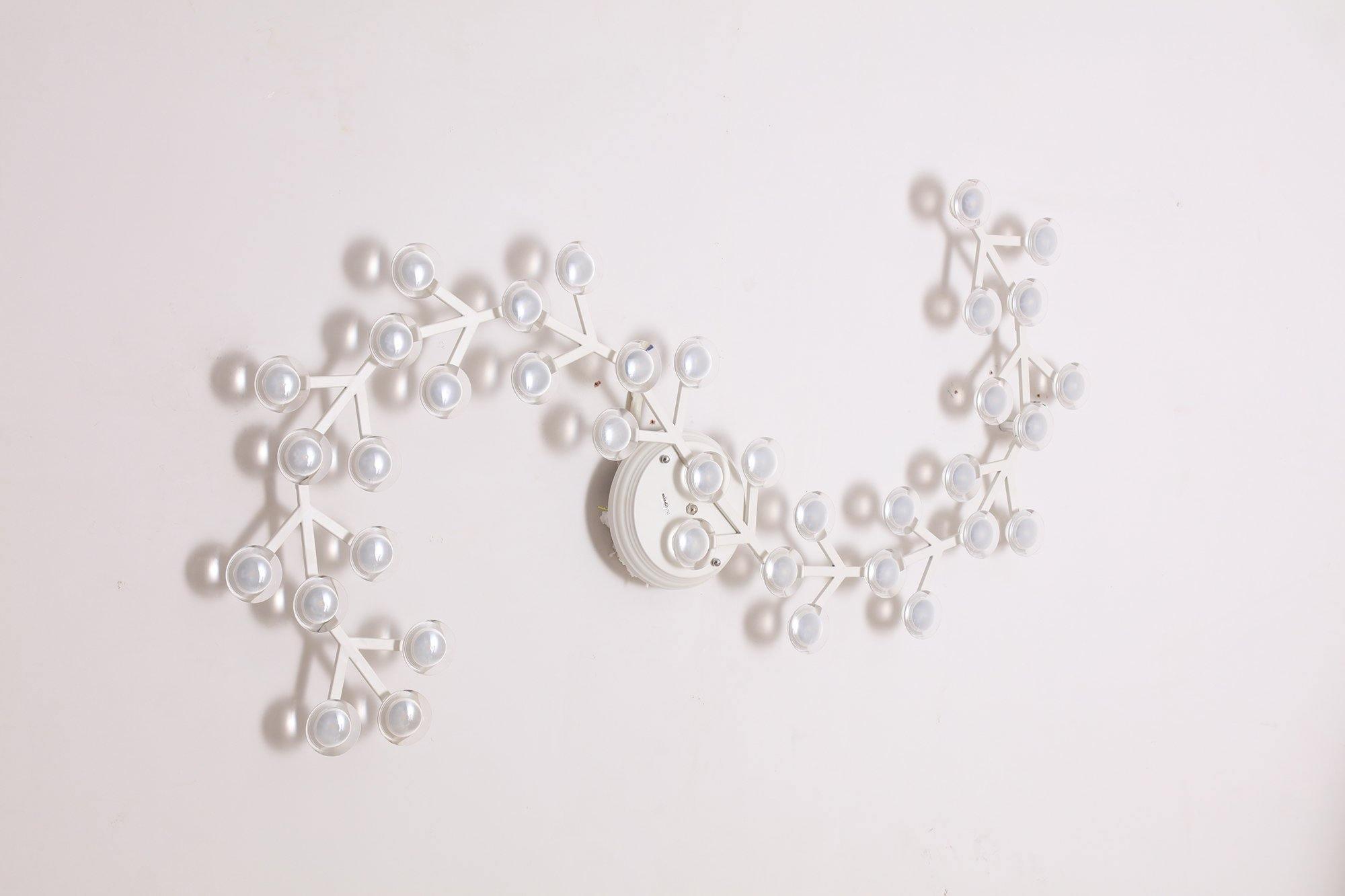 LED Net Ceiling Lamp