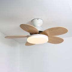Petalo Ceiling Fan Light