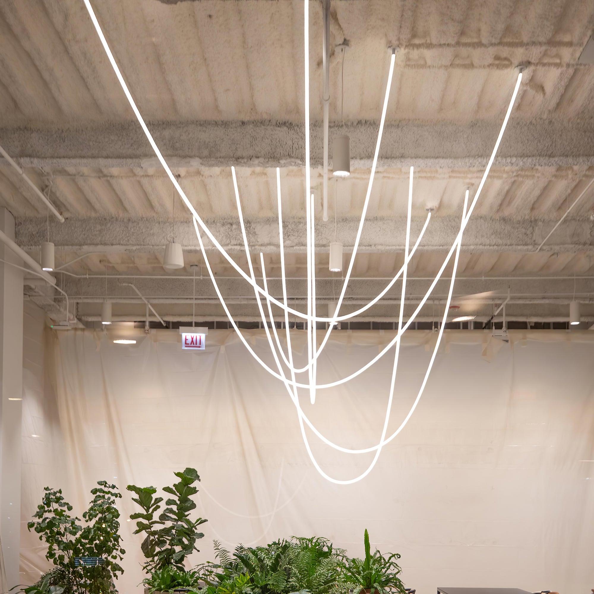 Flexible Curve linear Pendant Lamp